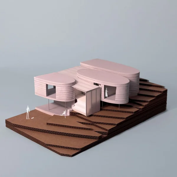 DeBARTOLOMEIS_REN_GIDEONSE_P4_entourage1