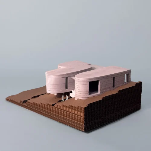 DeBARTOLOMEIS_REN_GIDEONSE_P4_entourage3